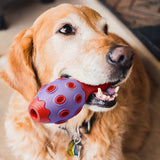 Duratoy Bowling Pin Dog Chew Toy