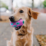 Duratoy Oval Treat Dog Chew Toy