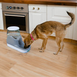 A dog drinking from the Green Rocks Gravity Feed water bowl