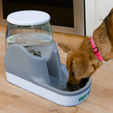 Green Rocks placed inside the Gravity Feed water bowl