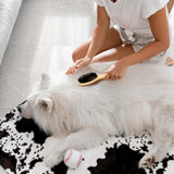 Double Sided Pet Grooming Brush