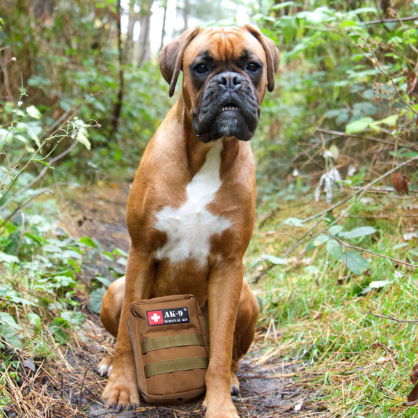 AK-9 Emergency Care Pet First Aid Kit