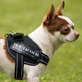 AK-9 Pair of Dog Warning Patches For Harnesses and Leads