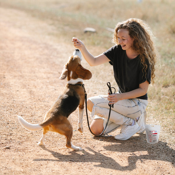 Treats+ Dental Functional Treats