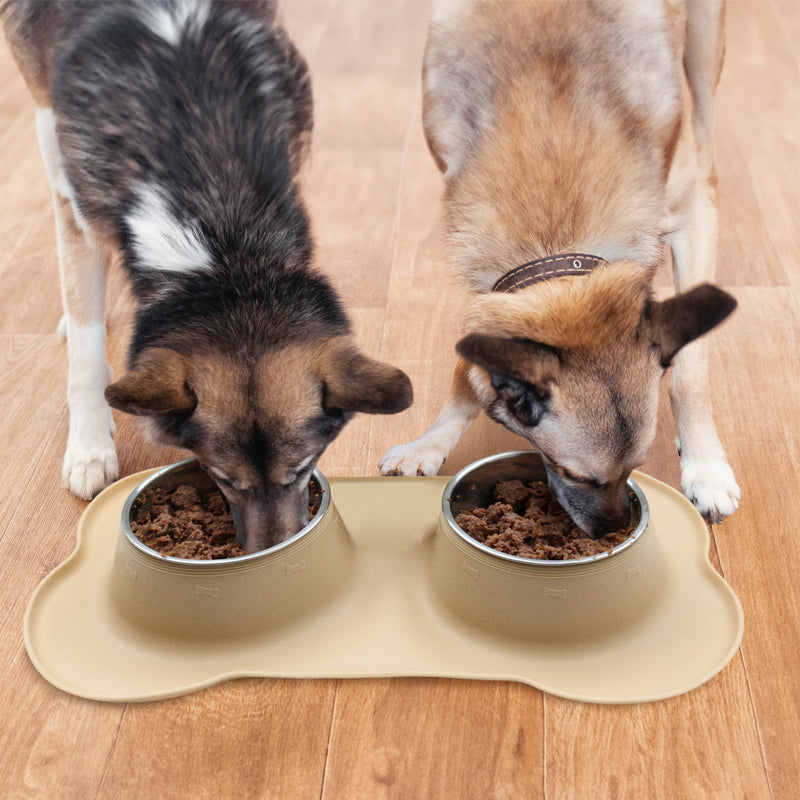 Hungry Henry Silicone Tray with Twin Bowls